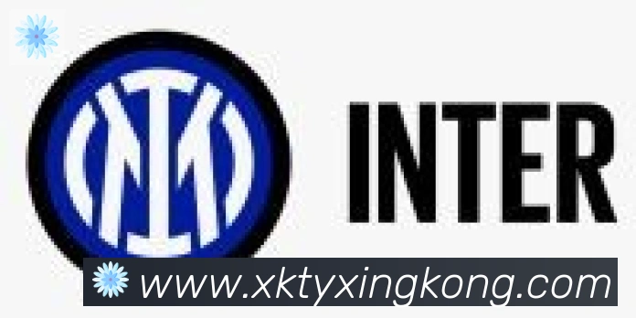 xingkong合作伙伴