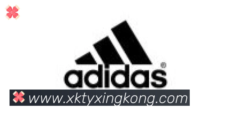 xingkong合作伙伴