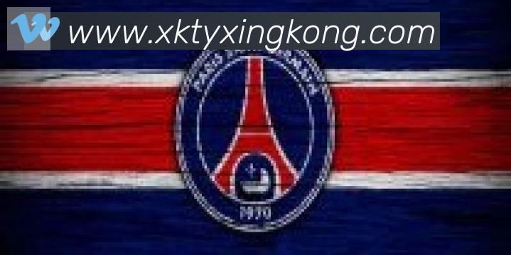 xingkong合作伙伴